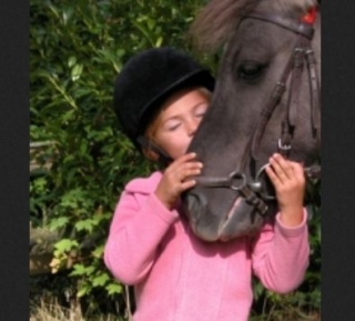  Respeto por el caballo y el jinete